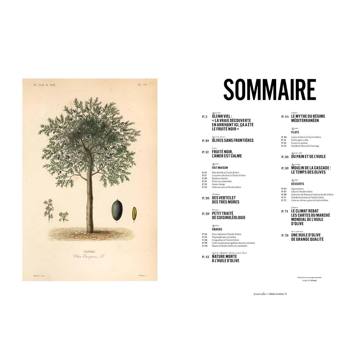 Les Grands Cahiers 180°C : Huile d'olive - Hachette Ed. - Livre de cuisine - - La Guilde Culinaire