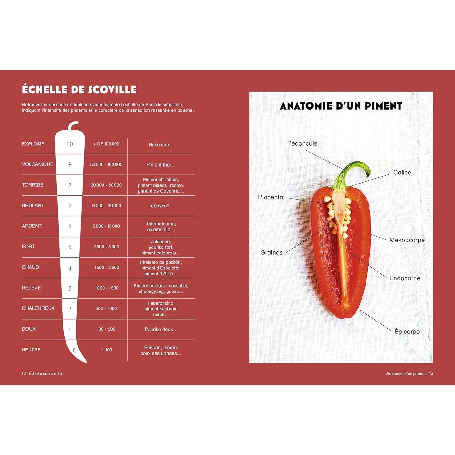 Piments - Hachette Ed. - Livre de cuisine - - La Guilde Culinaire