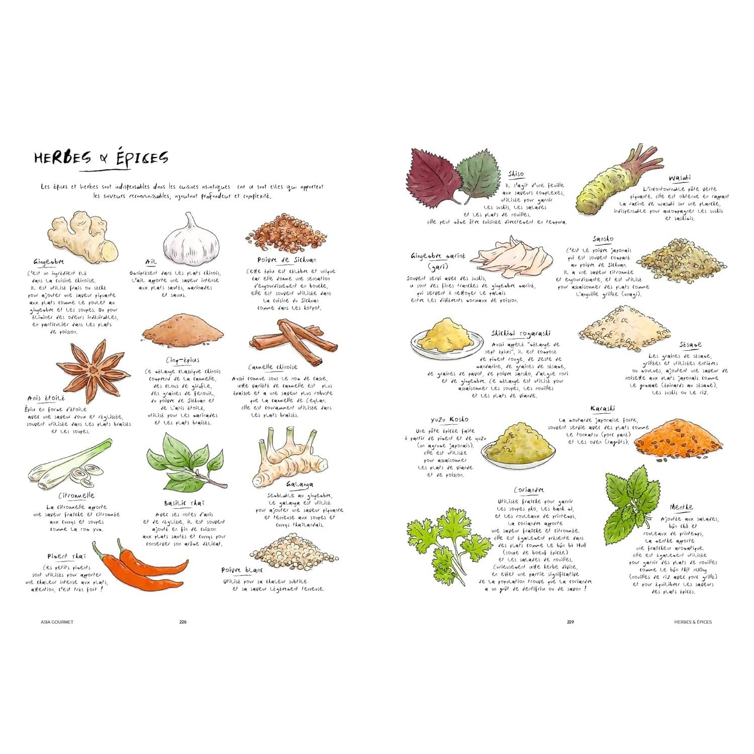 Asia Gourmet ! - Hachette Ed. - Livre de cuisine - - La Guilde Culinaire