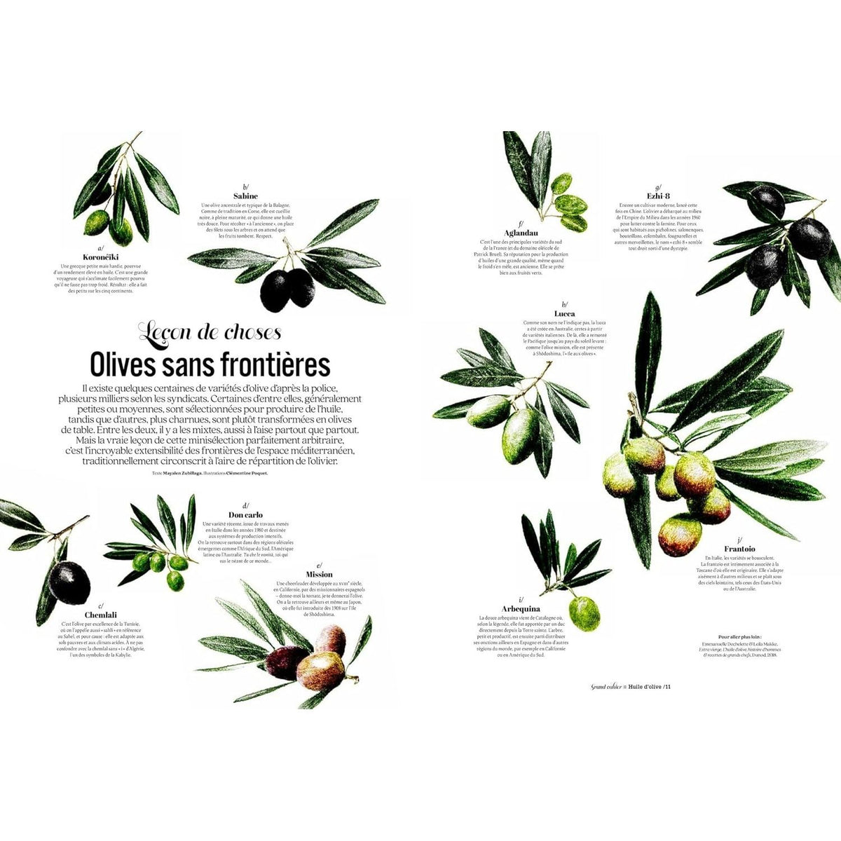 Les Grands Cahiers 180°C : Huile d'olive - Hachette Ed. - Livre de cuisine - - La Guilde Culinaire