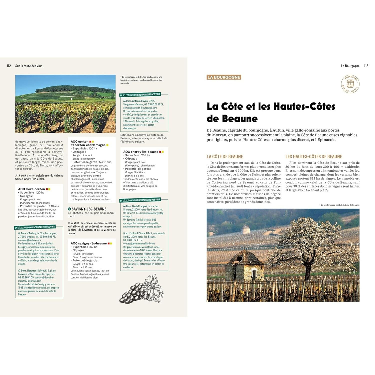 Sur la route des vins: Le guide de l'œnotourisme en France - Hachette Ed. - Livre d'alcool et boisson - - La Guilde Culinaire