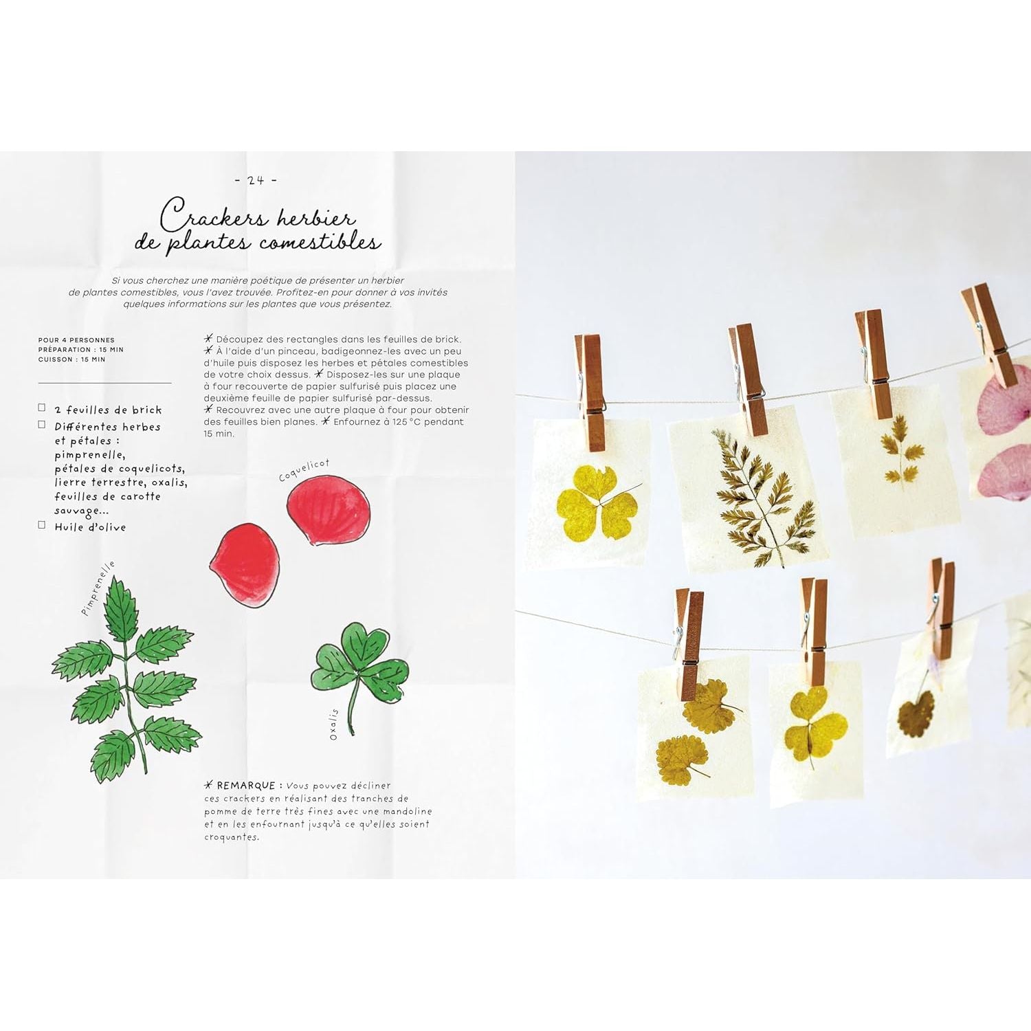 Le carnet de recettes d'une cueilleuse - La Plage Ed. - Livre de cuisine - - La Guilde Culinaire