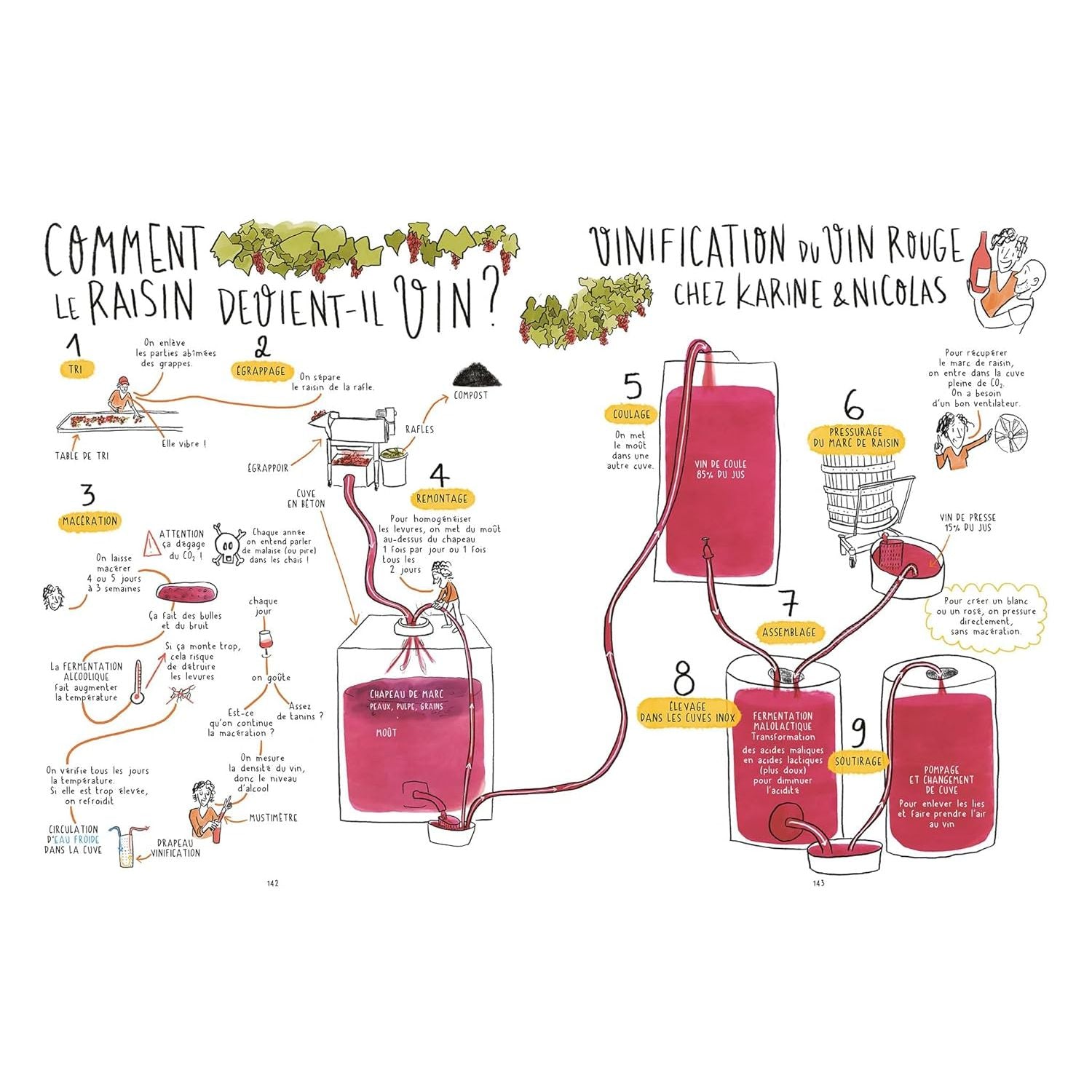 Les 4 saisons du vin ! - Hachette Ed. - Livre d'alcool et boisson - - La Guilde Culinaire