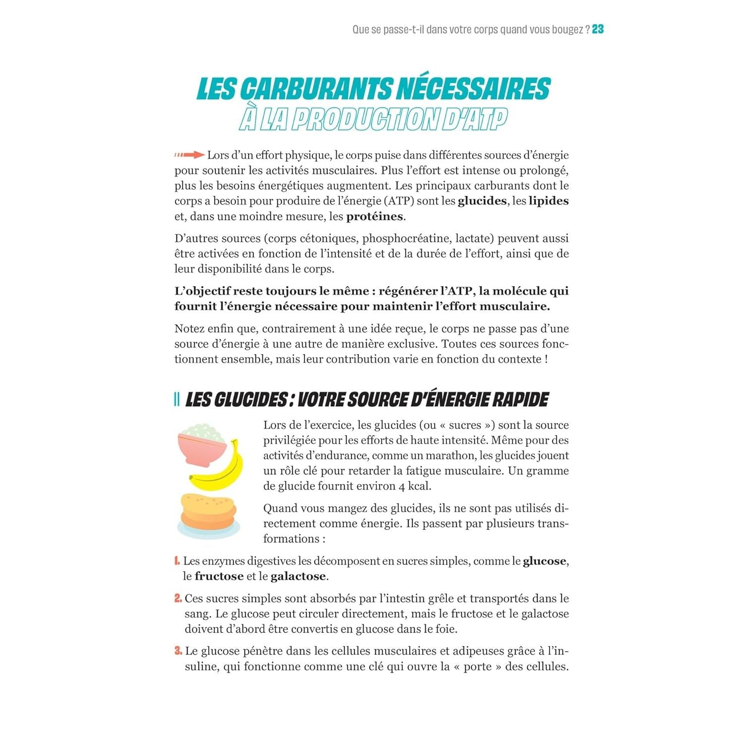 Le nutri'guide du sportif - Marabout - Livre de cuisine - - La Guilde Culinaire