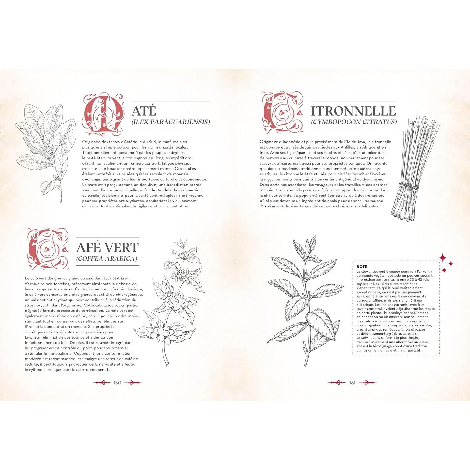 Le grimoire du magicien - La Plage Ed. - Livre de cuisine - - La Guilde Culinaire