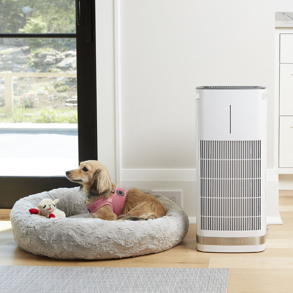Purificateur d'air autonome Cuisinart PuRXium - Cuisinart - Purificateurs d'air - - La Guilde Culinaire