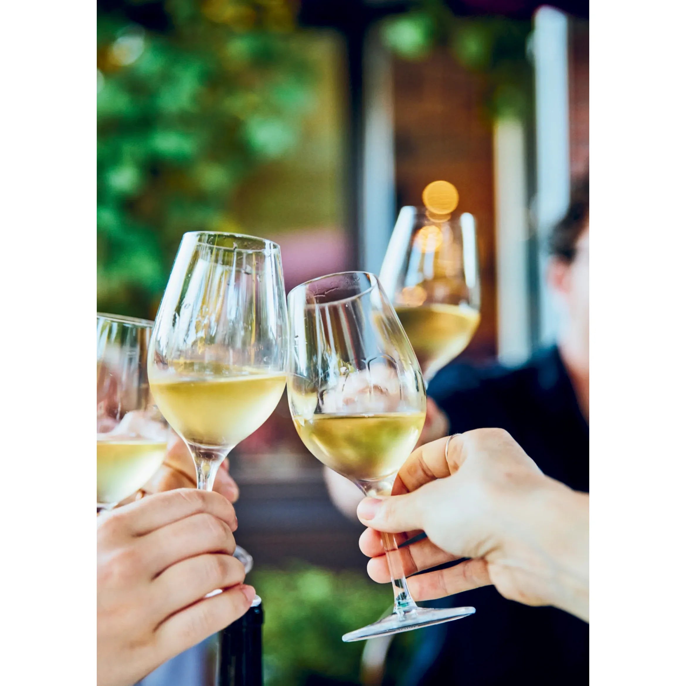 En accord — Cépages, recettes et prises de bec - Cardinal Ed. - Livre de cuisine - - La Guilde Culinaire