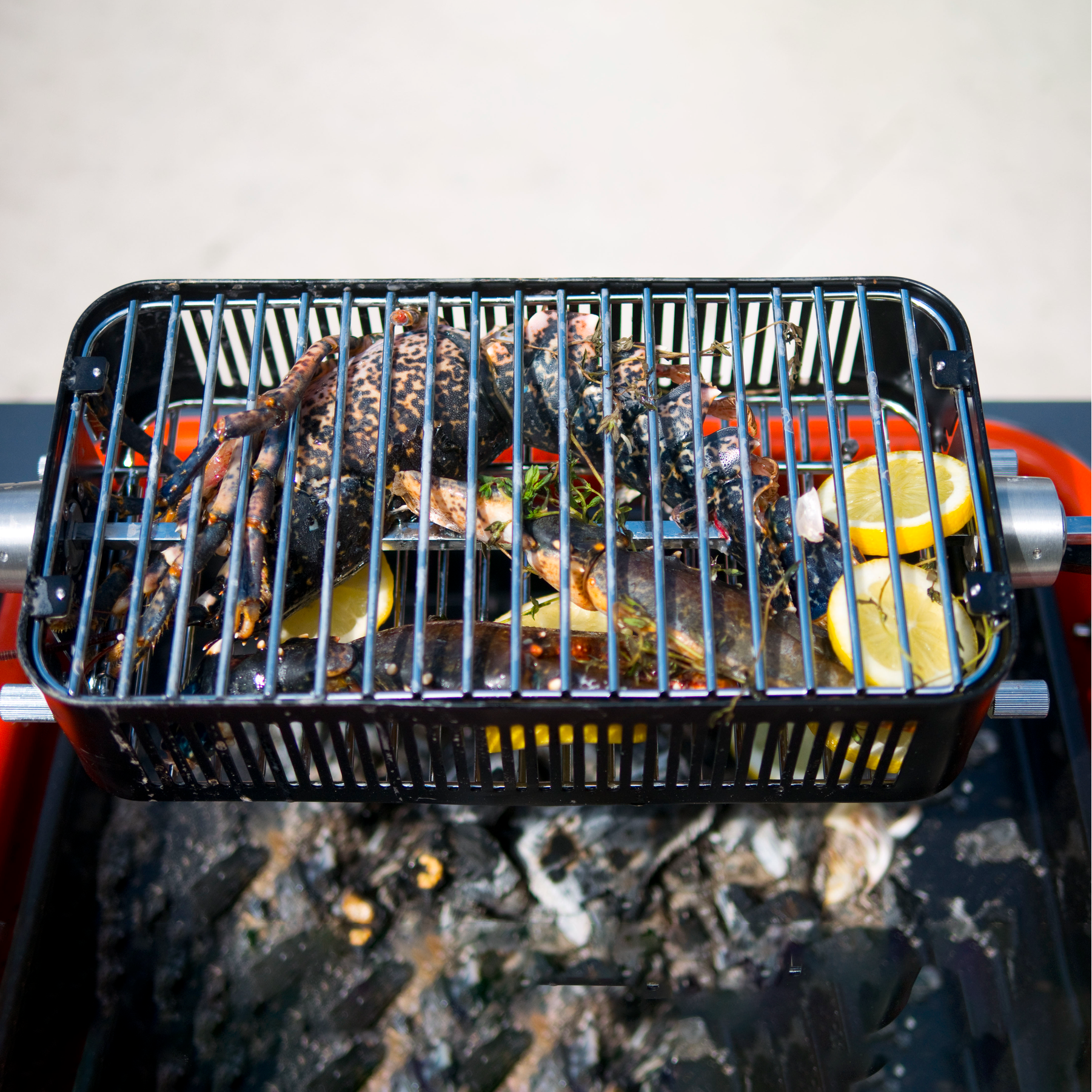 Cage de rôtissoire - Everdure - Everdure - Rôtissoire - - La Guilde Culinaire