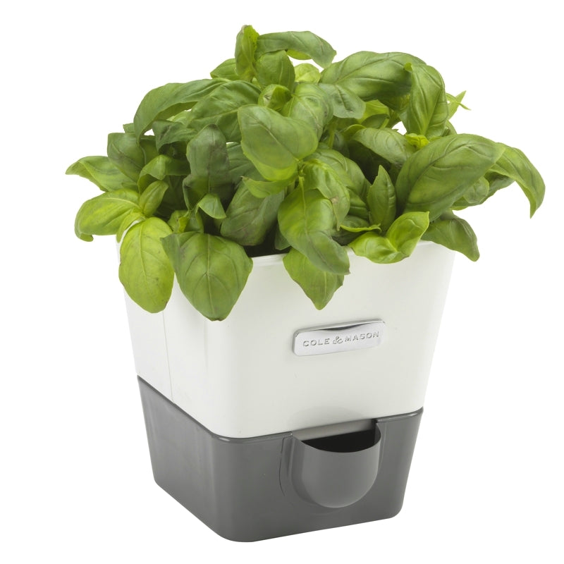 Jardinière pour fines herbes avec réservoir de Cole & Mason - Cole & Mason - Jardinière - - La Guilde Culinaire