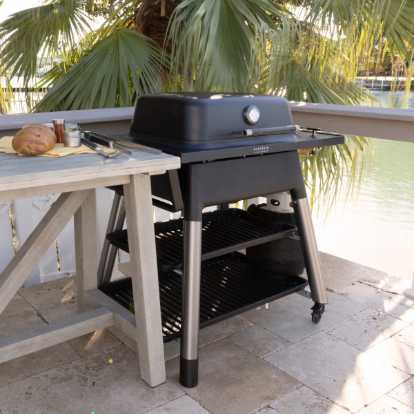 BBQ au gaz FORCE Everdure - Everdure - BBQ - - La Guilde Culinaire