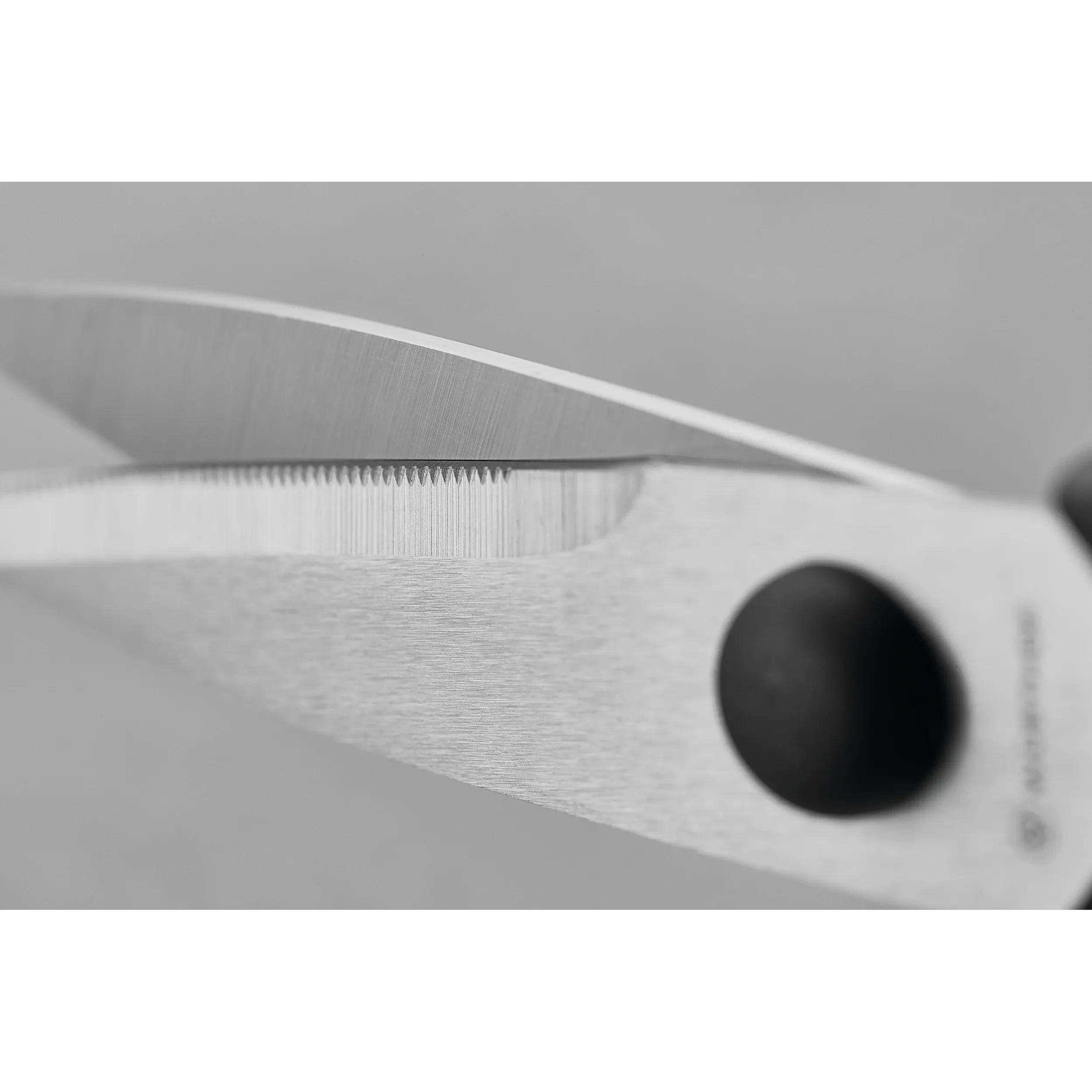Ciseaux de cuisine 7 cm / 2" - Wüsthof - Ciseaux de cuisine - - La Guilde Culinaire