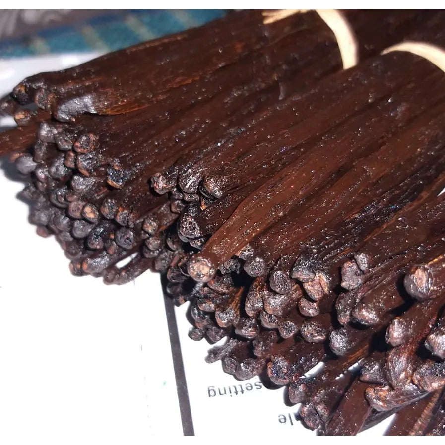 Gousses de Vanille de Madagascar - Bourbon (25g) - Colibri Vanille - Vanille - - La Guilde Culinaire
