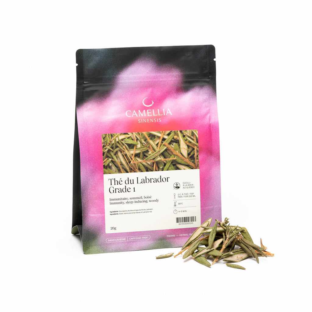 Thé du Labrador (sac de 25g) - Camellia Sinensis - Thé et infusion - - La Guilde Culinaire