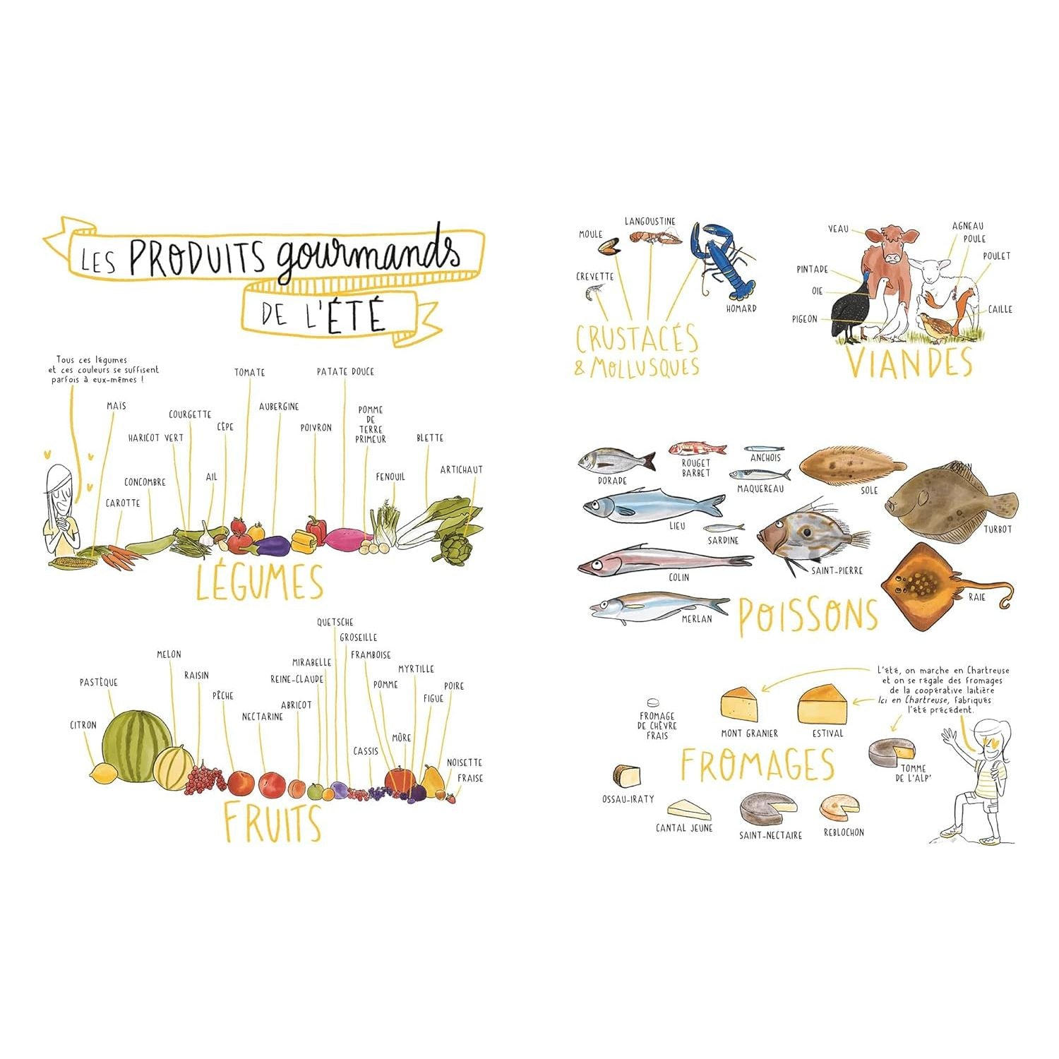 Les 4 saisons du vin ! - Hachette Ed. - Livre d'alcool et boisson - - La Guilde Culinaire
