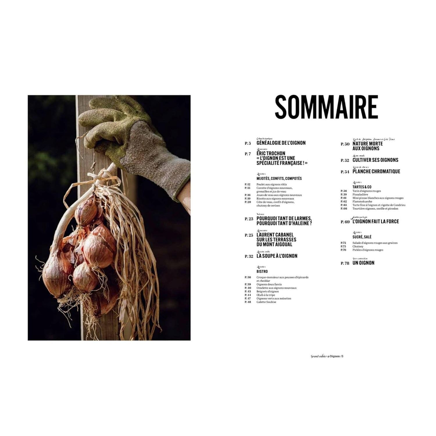 Les Grands Cahiers 180°C : Oignon - Hachette Ed. - Livre de cuisine - - La Guilde Culinaire