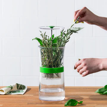 Contenant à herbes fraîches Herb Keepr    - Cuisipro - Contenant à herbes fraîches -  - La Guilde Culinaire