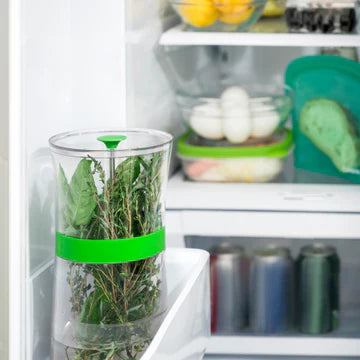 Contenant à herbes fraîches Herb Keepr    - Cuisipro - Contenant à herbes fraîches -  - La Guilde Culinaire