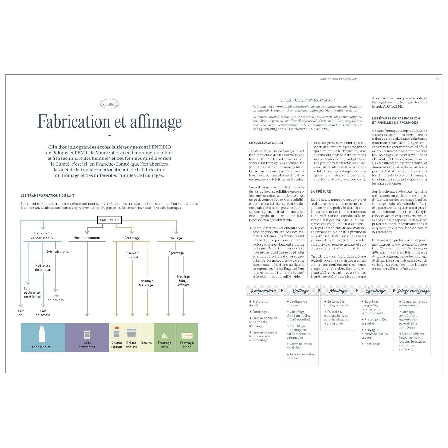 Tout un fromage : L'encyclopédie calée et décalée du fromage - Hachette Ed. - Livre de cuisine - - La Guilde Culinaire