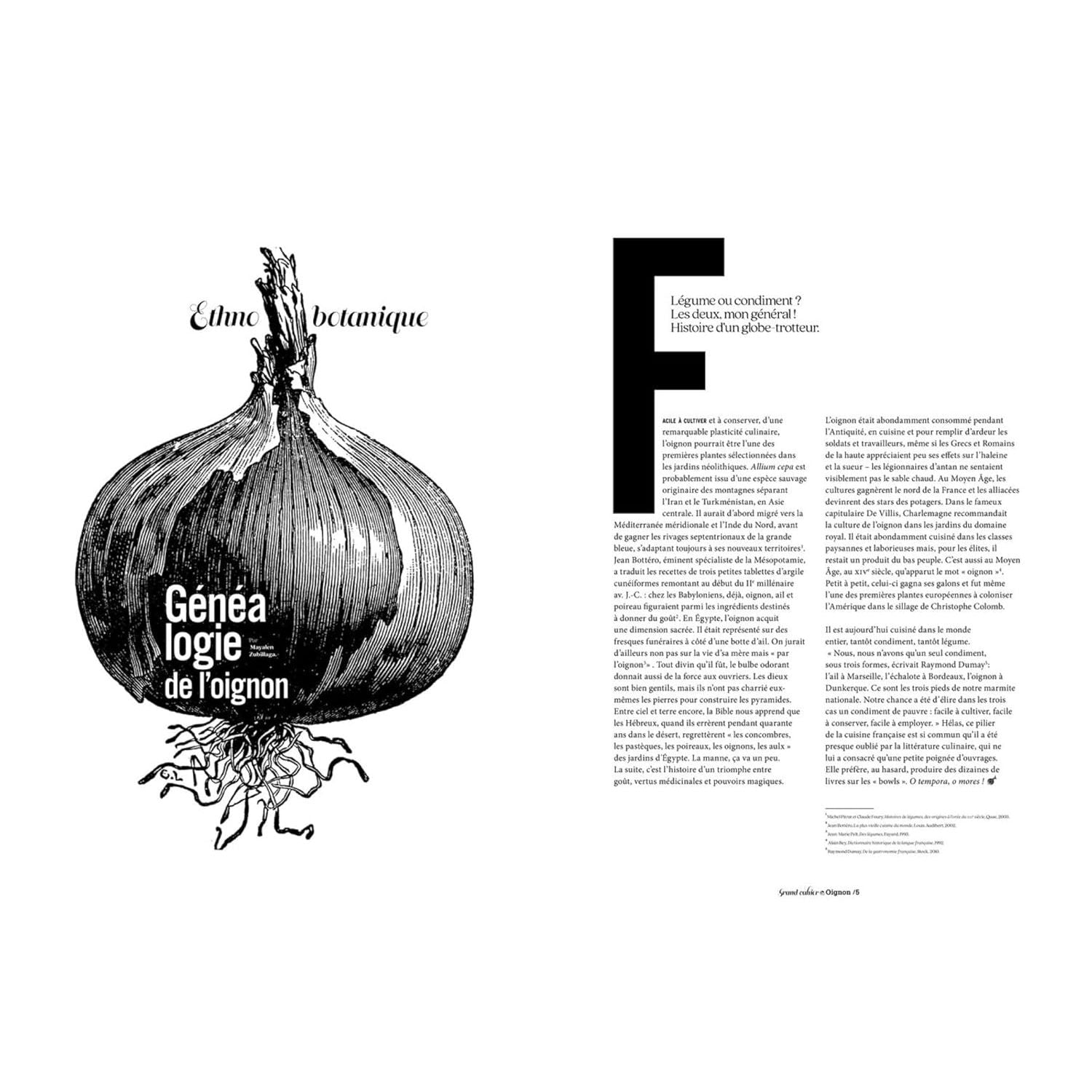 Les Grands Cahiers 180°C : Oignon - Hachette Ed. - Livre de cuisine - - La Guilde Culinaire