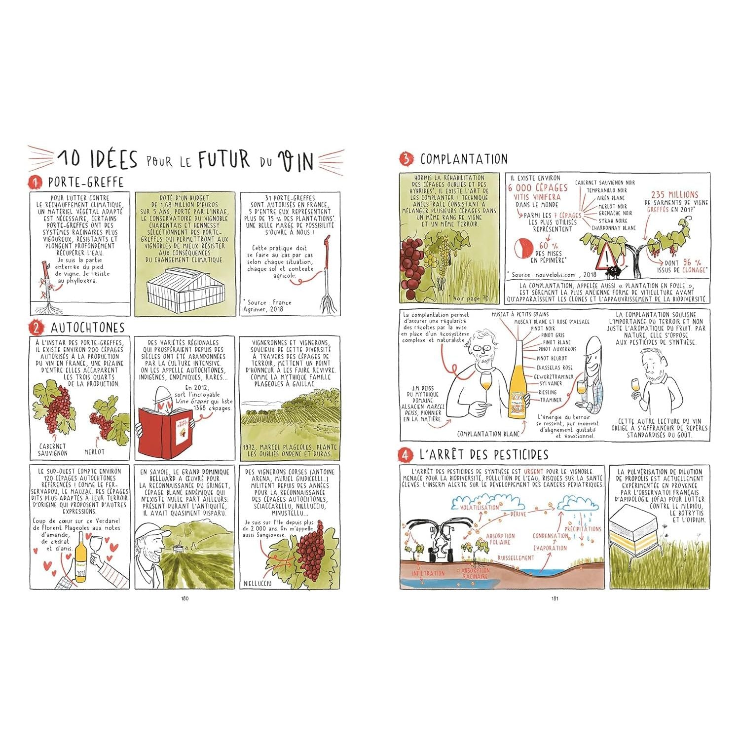 Les 4 saisons du vin ! - Hachette Ed. - Livre d'alcool et boisson - - La Guilde Culinaire