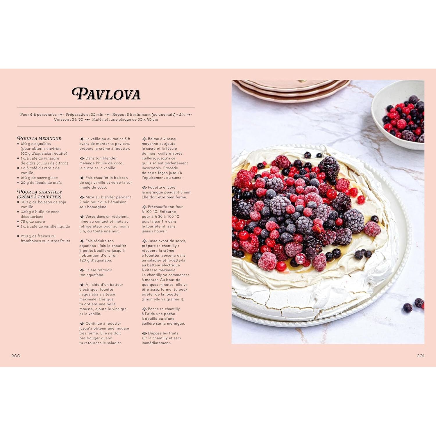 Le Grand Livre des Gâteaux de Famille - La Plage Ed. - Livre de cuisine - - La Guilde Culinaire
