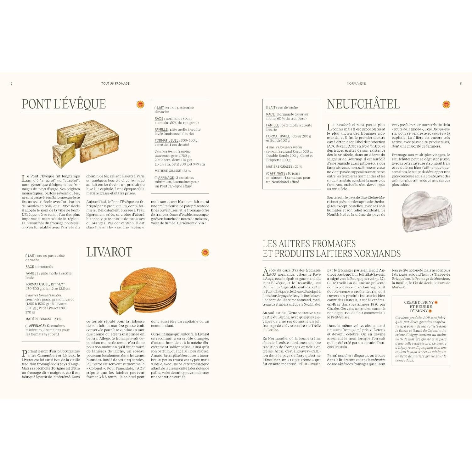 Tout un fromage : L'encyclopédie calée et décalée du fromage - Hachette Ed. - Livre de cuisine - - La Guilde Culinaire
