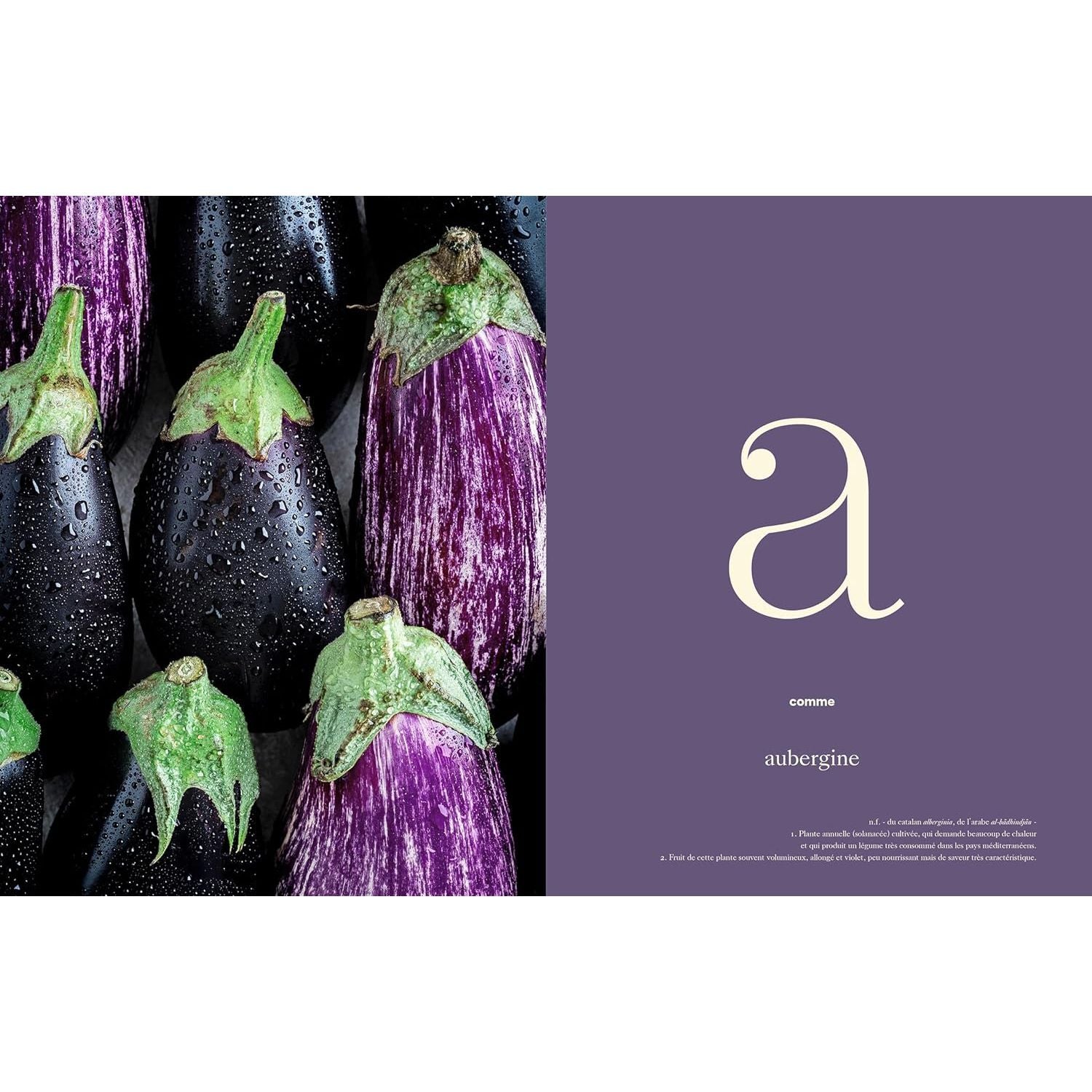 Obsessions végétales    - Hachette Ed. - Livre de cuisine -  - La Guilde Culinaire