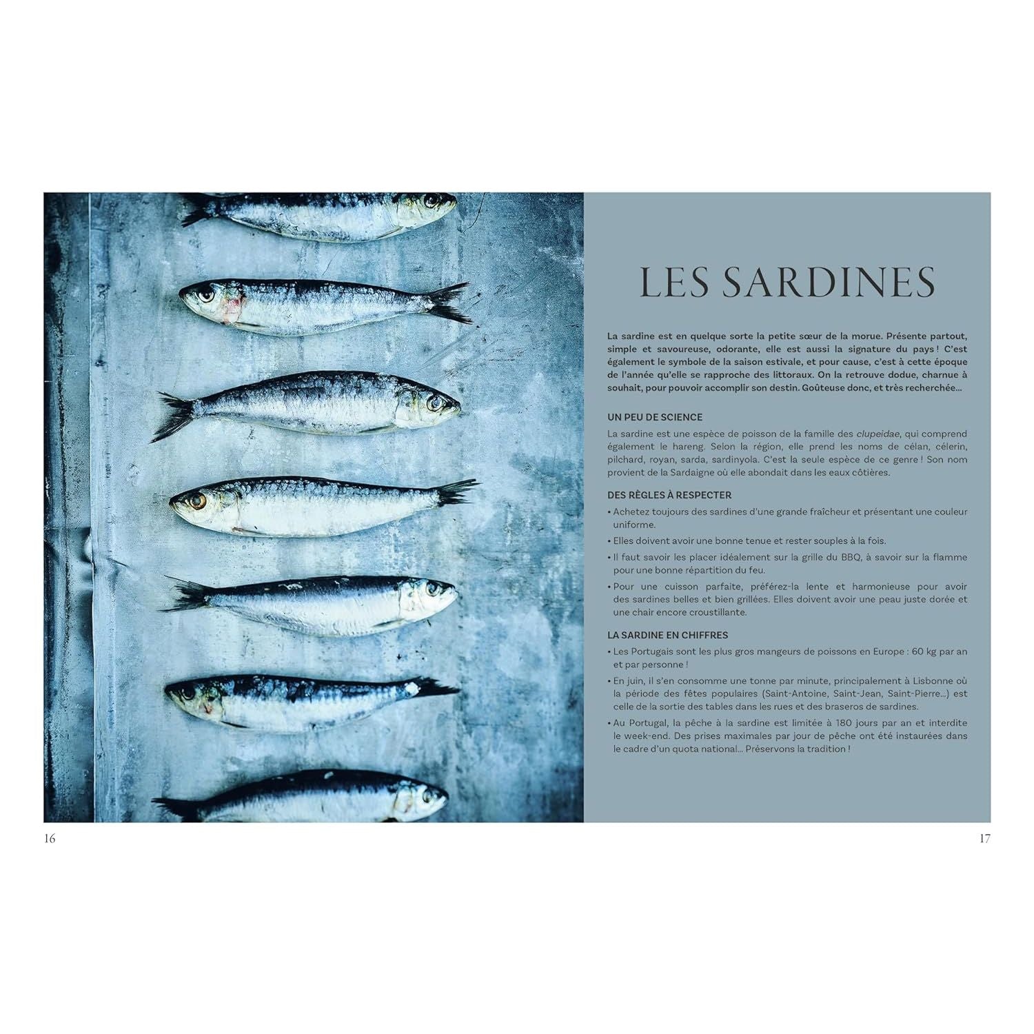 La cuisine du Portugal    - Hachette Ed. - Livre de cuisine -  - La Guilde Culinaire