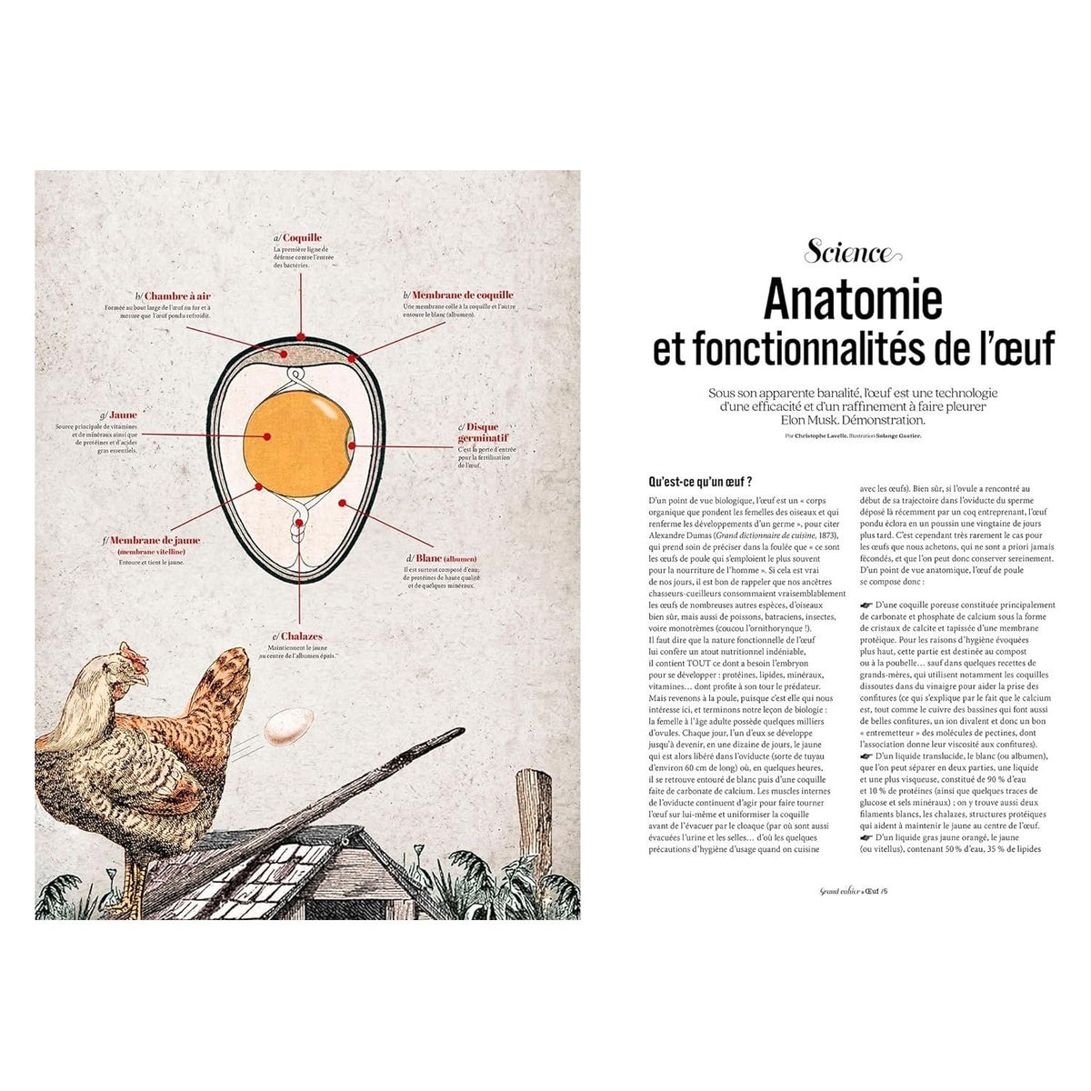 Oeuf    - Hachette Ed. - Livre de cuisine -  - La Guilde Culinaire