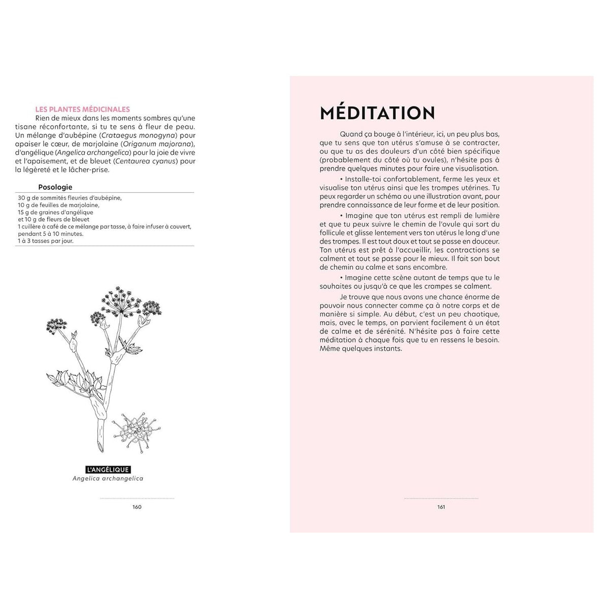 Plantes puissantes: L'herboristerie du cycle menstruel ! - Hachette Ed. - Livre de cuisine - - La Guilde Culinaire