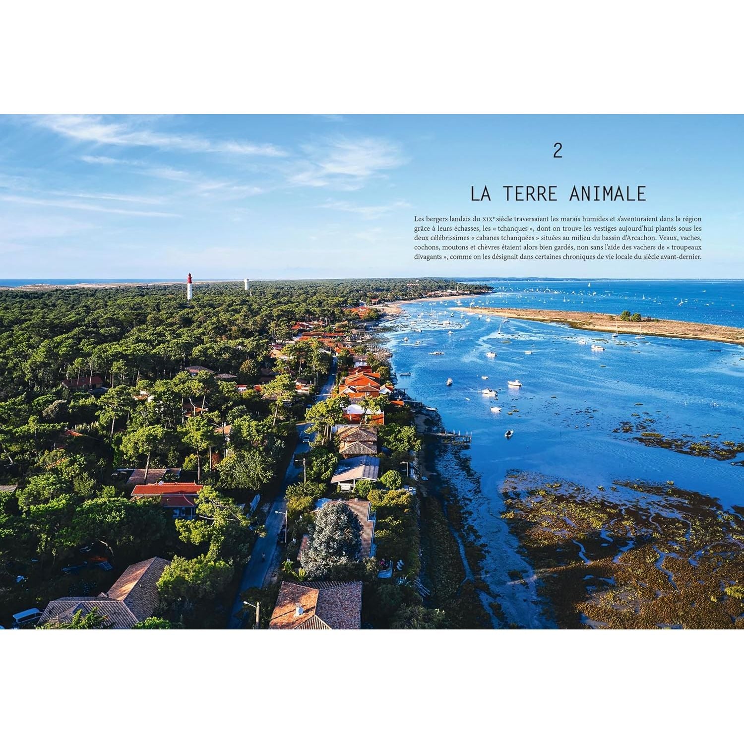 L'été gourmand au Cap Ferret - Hachette Ed. - Livre de cuisine - - La Guilde Culinaire
