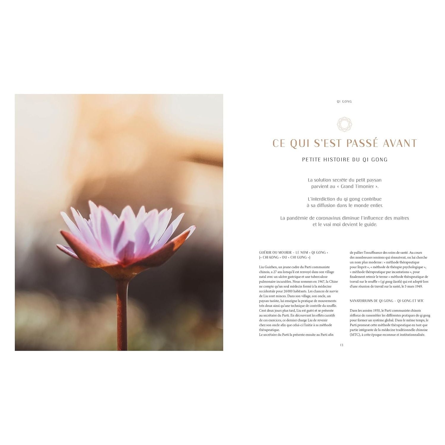Qi Gong: Renforcez votre énergie vitale    - Hachette Ed. - Livre de cuisine -  - La Guilde Culinaire
