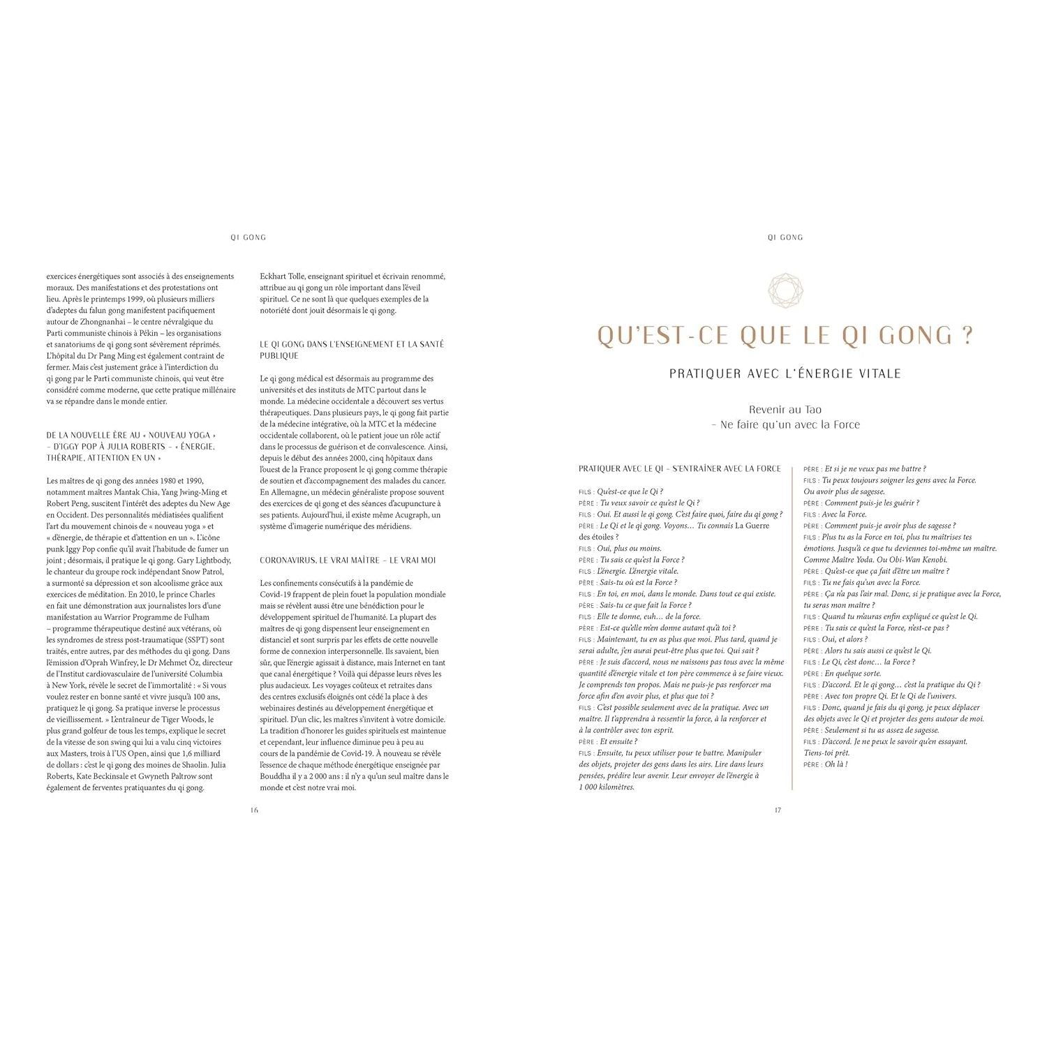 Qi Gong: Renforcez votre énergie vitale    - Hachette Ed. - Livre de cuisine -  - La Guilde Culinaire