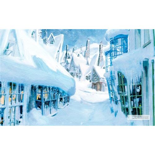 Harry Potter - Recettes de fêtes    - Hachette Ed. - Livre de cuisine -  - La Guilde Culinaire