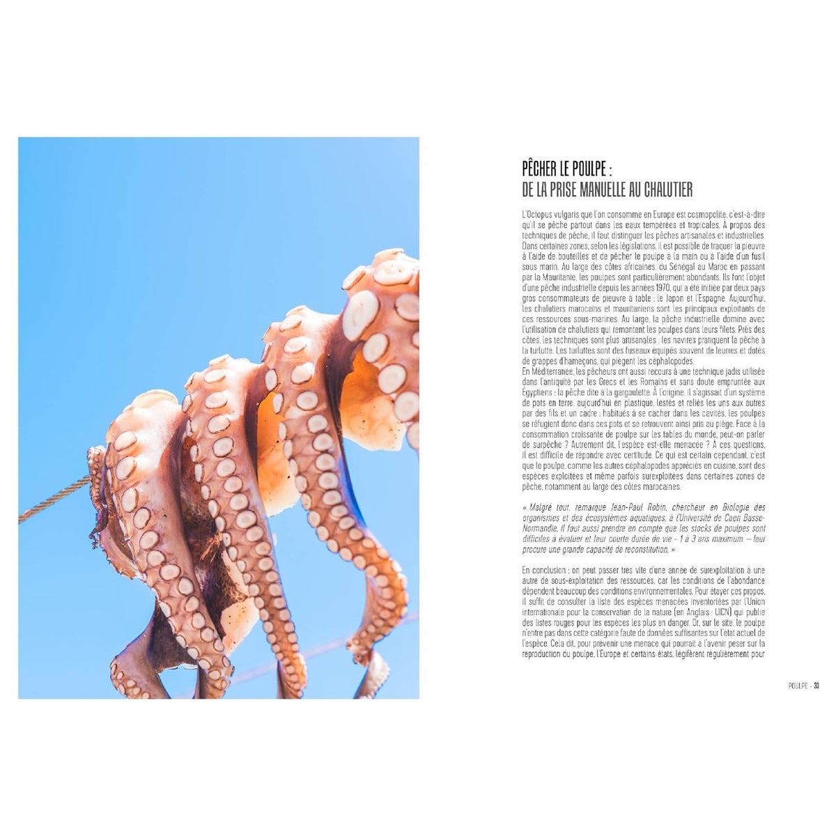 Poulpe [Nouvelle édition]    - Hachette Ed. - Livre de cuisine -  - La Guilde Culinaire