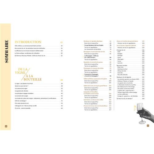 Vin/20    - Larousse Ed. - Livre d'alcool et boisson -  - La Guilde Culinaire