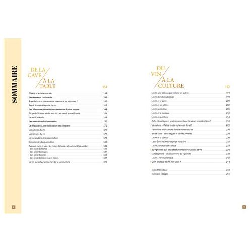 Vin/20    - Larousse Ed. - Livre d'alcool et boisson -  - La Guilde Culinaire