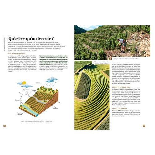 Vin/20    - Larousse Ed. - Livre d'alcool et boisson -  - La Guilde Culinaire