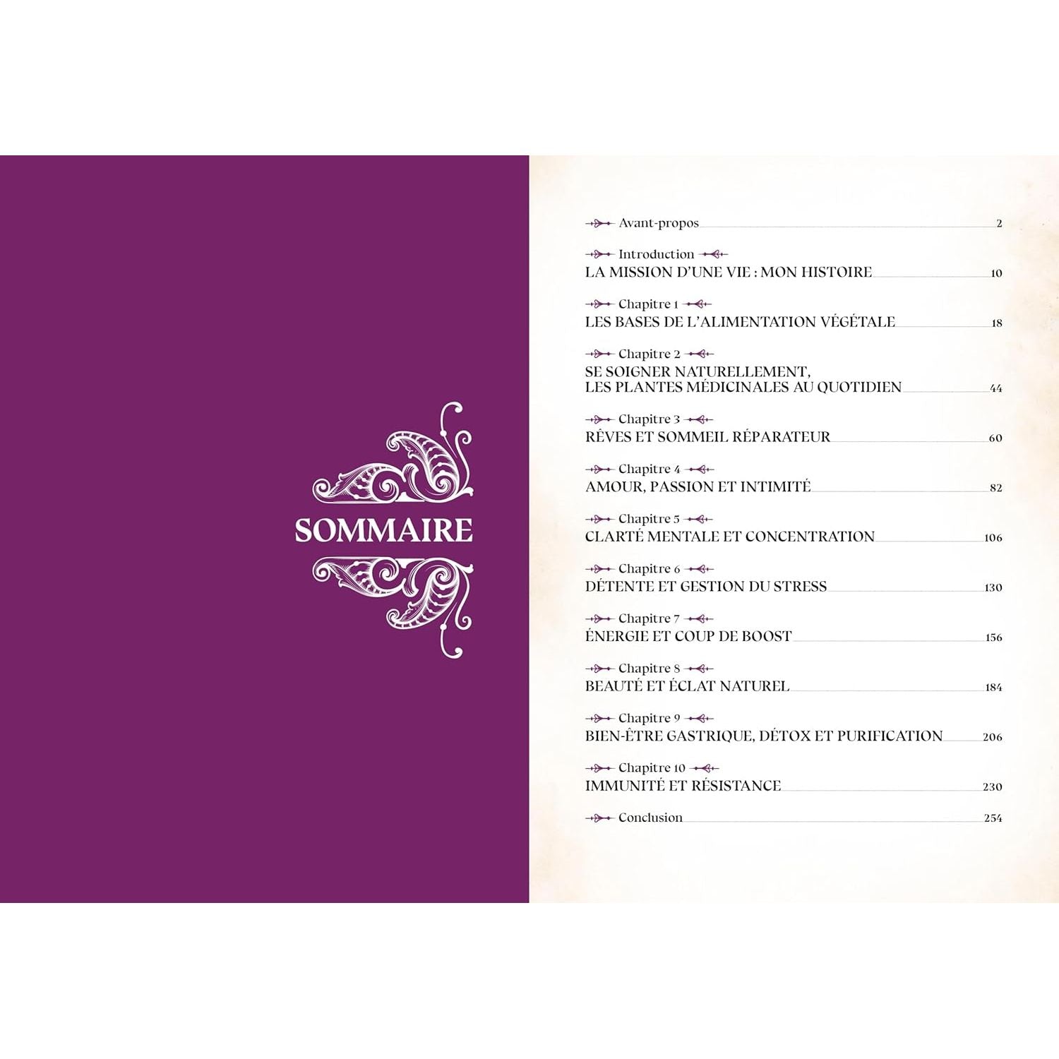 Le grimoire du magicien    - La Plage Ed. - Livre de cuisine -  - La Guilde Culinaire
