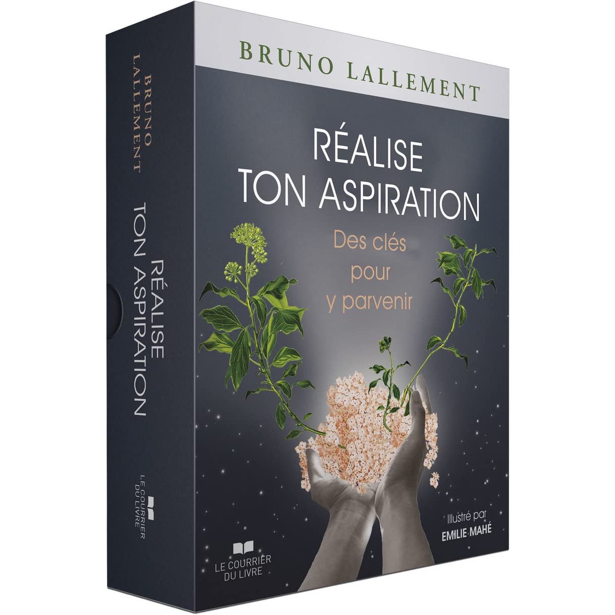 Réalise ton aspiration: des clefs pour y parvenir    - Le Courrier du Livre - Livre de psychologie -  - La Guilde Culinaire