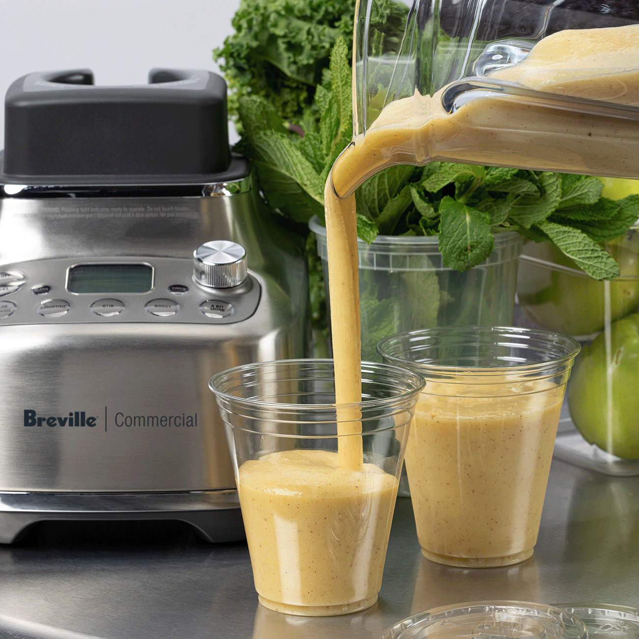 The Super Q Pro - Breville - Robot mélangeur - - La Guilde Culinaire