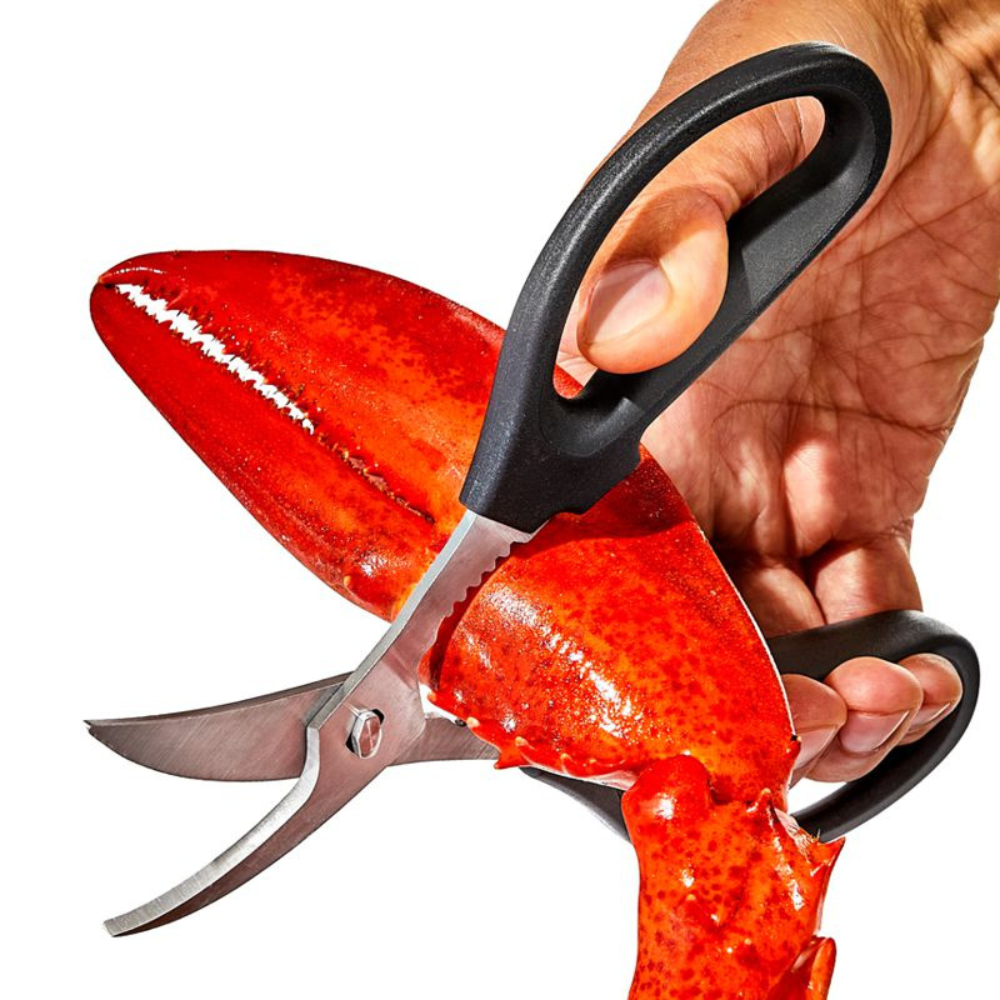 Ciseaux courbés pour fruits de mer - OXO - Ciseaux de cuisine - - La Guilde Culinaire