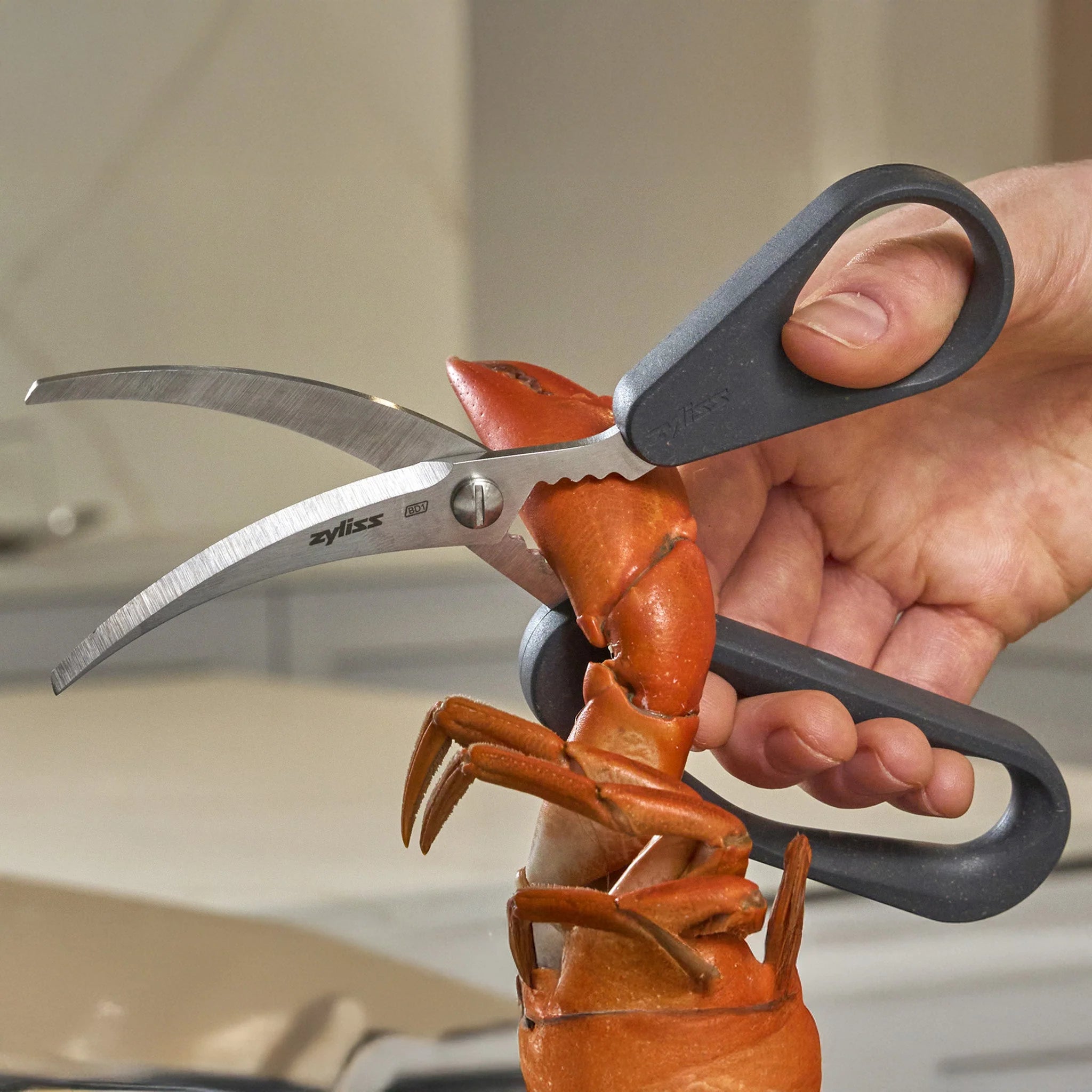 Ciseaux à Fruits de Mer - Zyliss - Ciseaux de cuisine - - La Guilde Culinaire