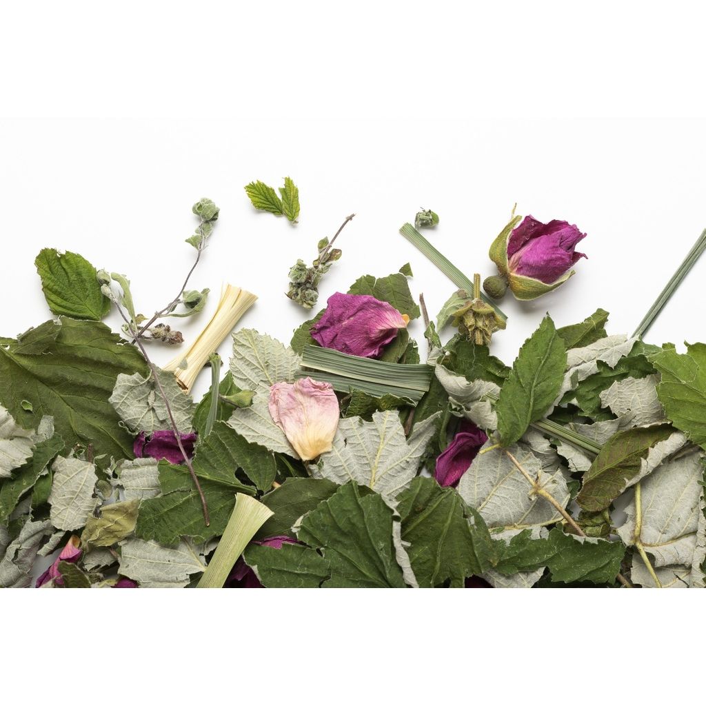 La Belle Humeur biologique (sac de 20g) - Camellia Sinensis - Thé et infusion - - La Guilde Culinaire