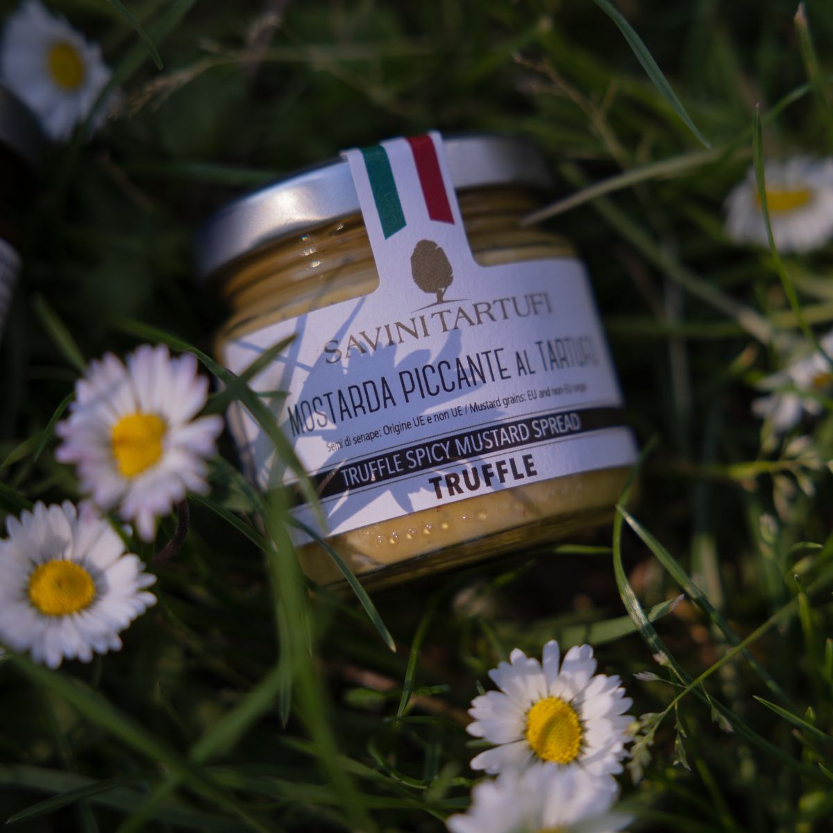 Moutarde épicée à la truffe 80gr - Savini Tartufi - Sauce - - La Guilde Culinaire