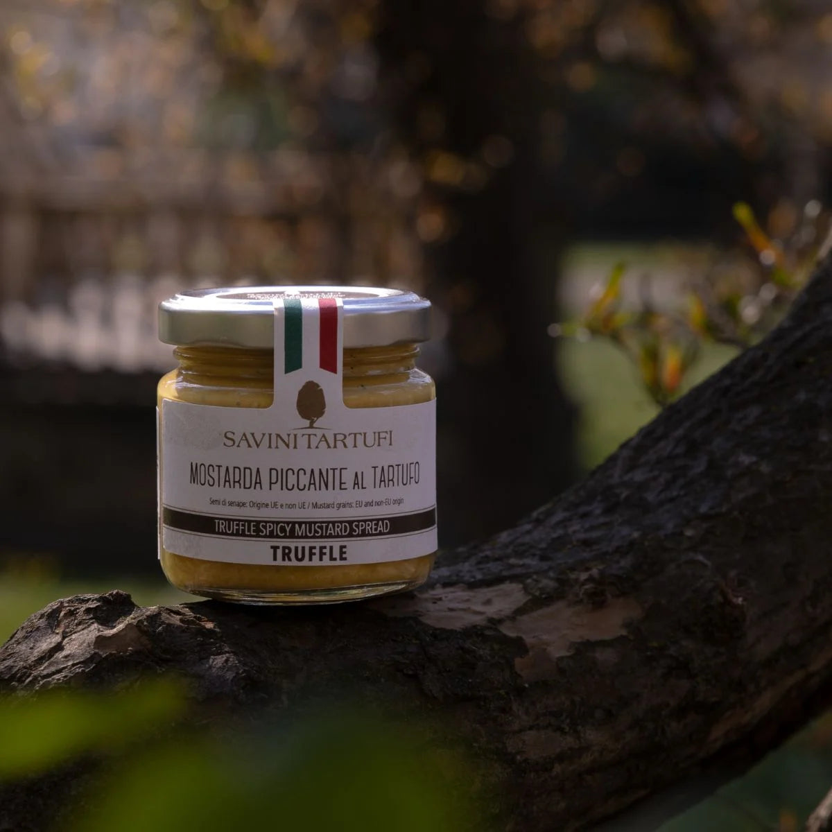 Moutarde épicée à la truffe 80gr - Savini Tartufi - Sauce - - La Guilde Culinaire