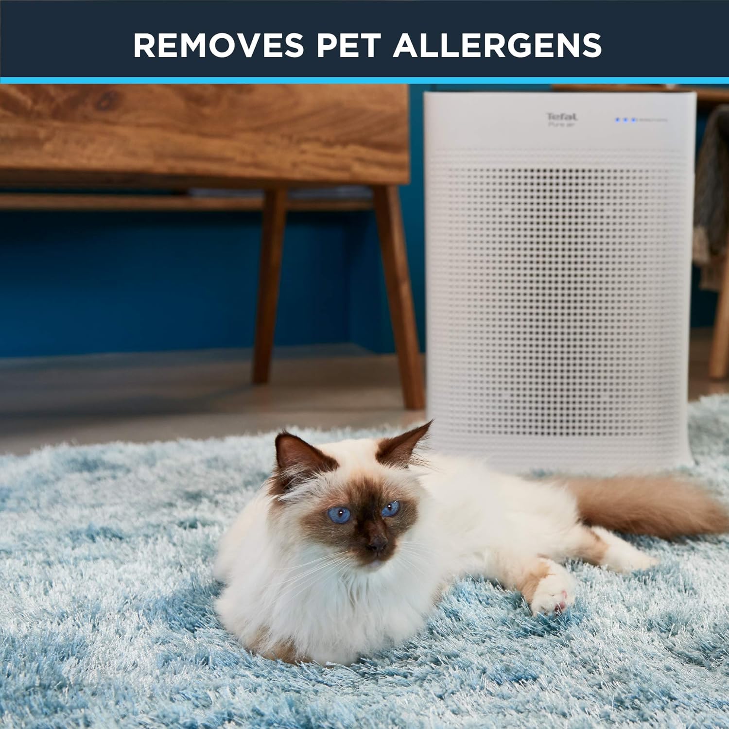 Purificateur d'air Pure Air - Rowenta    - Rowenta - Purificateurs d'air -  - La Guilde Culinaire