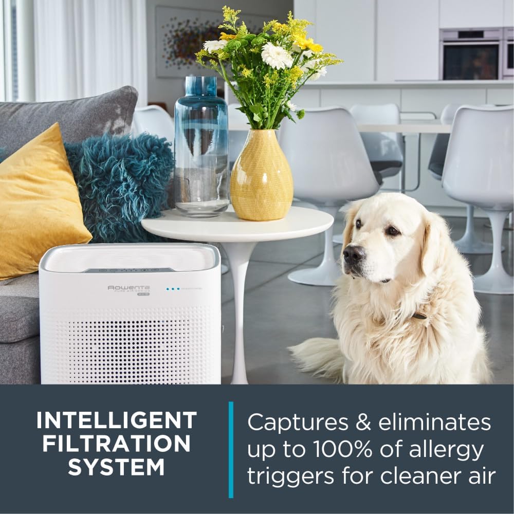 Purificateur d'air Pure Genius Connect - Rowenta    - Rowenta - Purificateurs d'air -  - La Guilde Culinaire