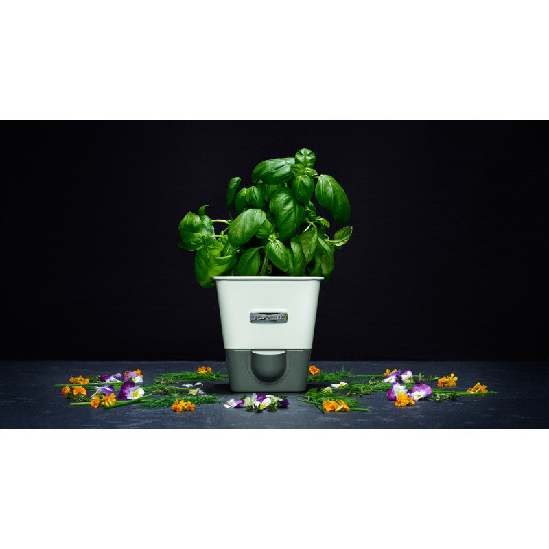 Jardinière pour fines herbes avec réservoir de Cole & Mason    - Cole & Mason - Jardinière -  - La Guilde Culinaire