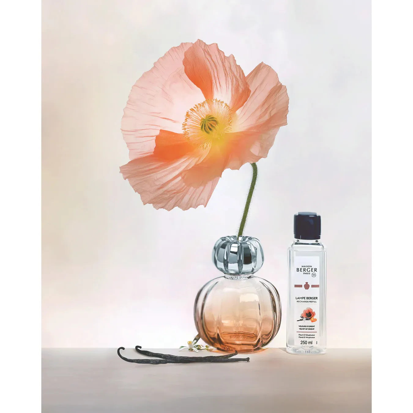 Coffret lampe Berger Corali Rose - Maison Berger Paris - Coffret Lampe Berger - - La Guilde Culinaire